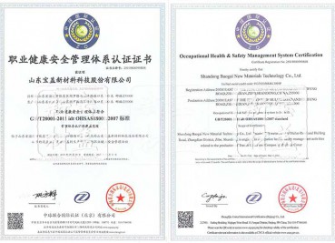 職業健康安全管理體系-注冊號：25019s00590r0s